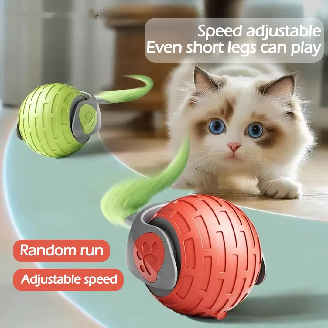 New Auto Electric Rolling Ball Toys For Cat