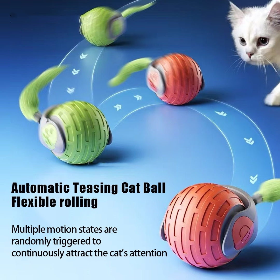 New Auto Electric Rolling Ball Toys For Cat