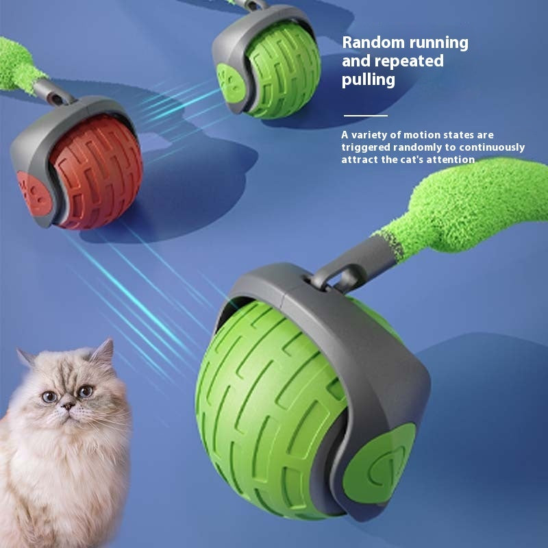 New Auto Electric Rolling Ball Toys For Cat